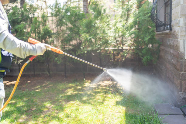 Spider Control Near Me in Lawrenceville, IL